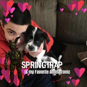 Meet your Posher, Alex